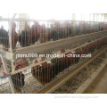 Quality Poultry Farming Equipment (JF-AF-2c11)